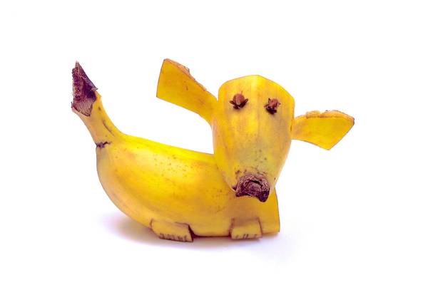 Sculpture bio